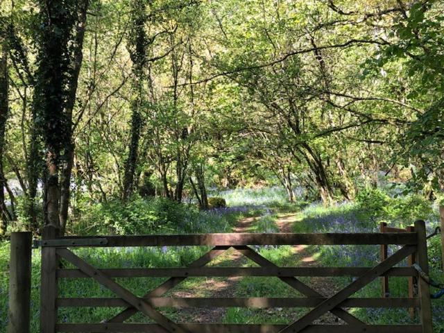 Down The Garden Path Vintage Caravan B&B , Dartmoor Newton Abbot Kültér fotó