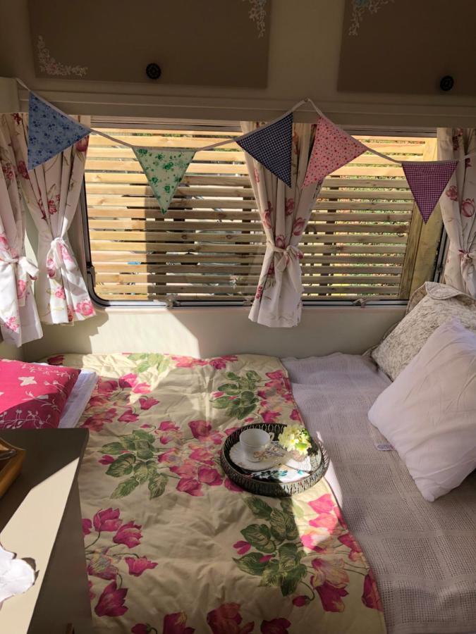 Down The Garden Path Vintage Caravan B&B , Dartmoor Newton Abbot Kültér fotó