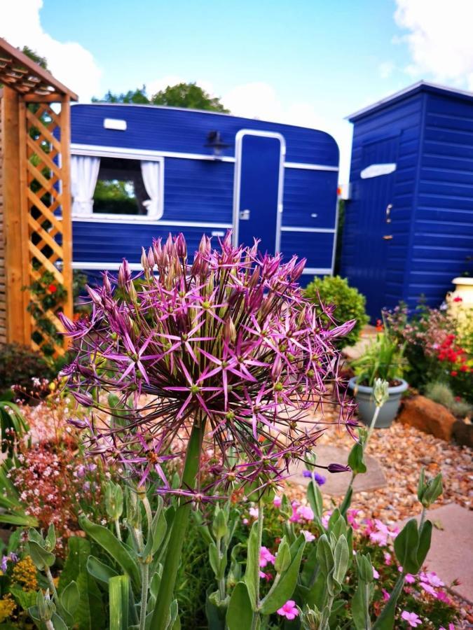 Down The Garden Path Vintage Caravan B&B , Dartmoor Newton Abbot Kültér fotó