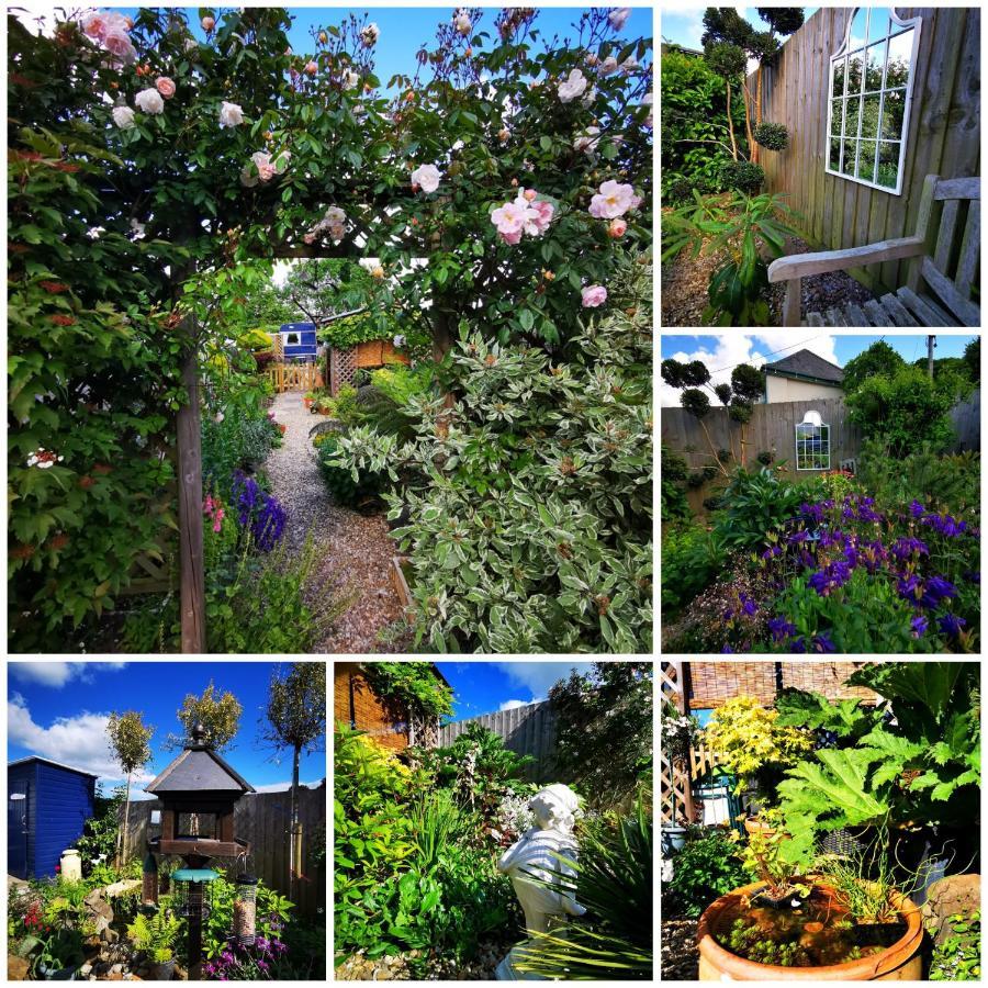 Down The Garden Path Vintage Caravan B&B , Dartmoor Newton Abbot Kültér fotó
